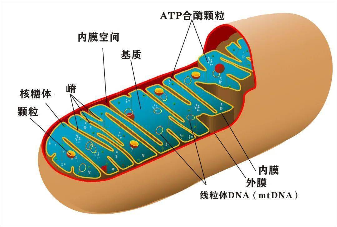 微信图片_20210310113738.jpg