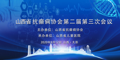 山西省抗癫痫协会第二届第三次会议（三）
